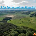 łaki gmina Krzęcini06